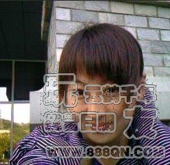 灬红玫瑰灬(43区)