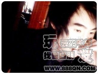 龍(46区)