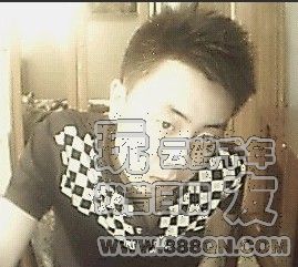 霸天虎(48区)