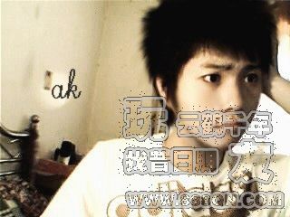 乌龟(51区)