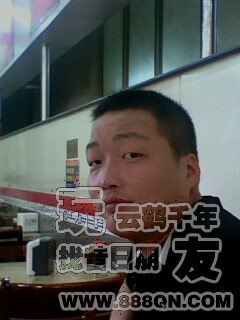 沙漠之影（55区）