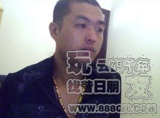 脑震荡的猪（57区）