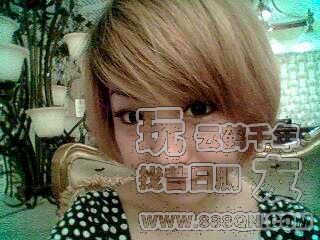 小小双(59区)
