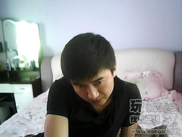 Gemini笨小蛋(68区)