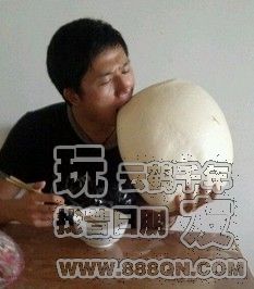 蜡笔小新(81区)