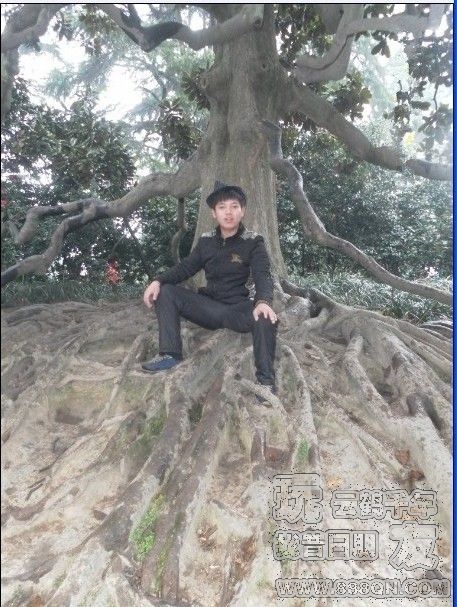 暴力钢蛋(90区)